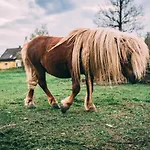 Sudeckie Bad Kudowa