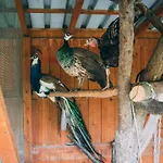 Chalet Sudeckie *
