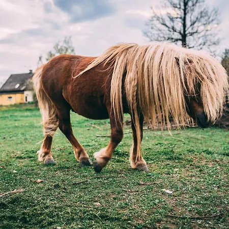 Sudeckie 쿠도바-즈루이